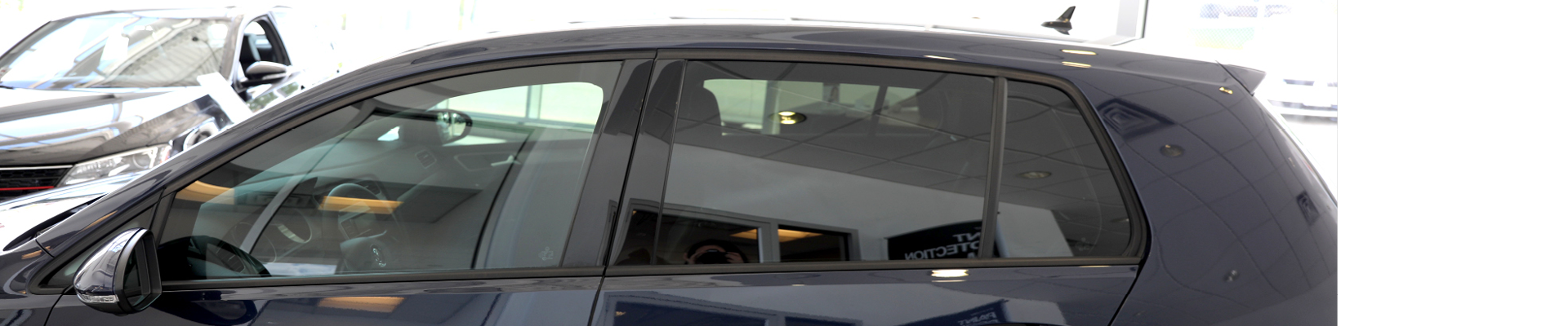 Tinted Windows VW